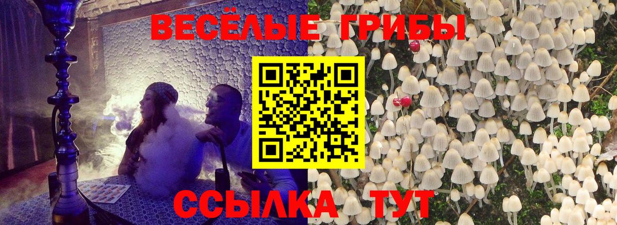Галлюциногенные грибы ЛСД Асино