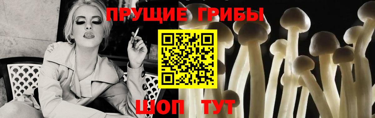 Асино  Галлюциногенные грибы Psilocybine cubensis  Вход с VPN 